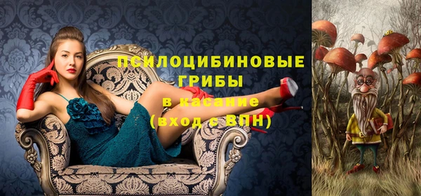 ECSTASY Вязьма