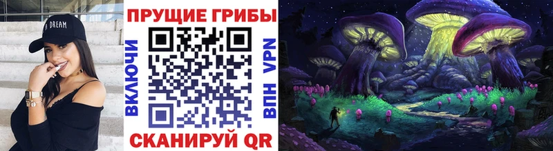 Купить где  Няндома  Галлюциногенные грибы ЛСД 